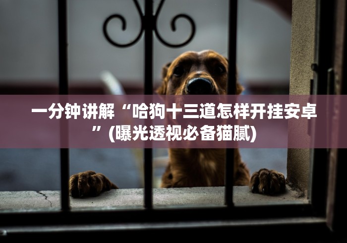 一分钟讲解“067互娱十三水怎么免费用挂”(太坑了果然有挂)