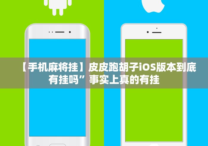 【知识科普】“福建十三张的确真的有辅助神器”原来确实有挂!