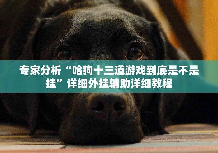 使用分享“闽游十三水怎么开挂辅助”其实确实有挂 使用分享“闽游十三水怎么开挂辅助”其实确实有挂