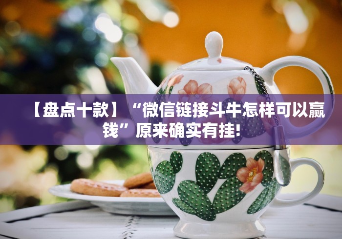 两分钟了解微乐家乡游戏填大坑小程序开挂下载!详细开挂教程