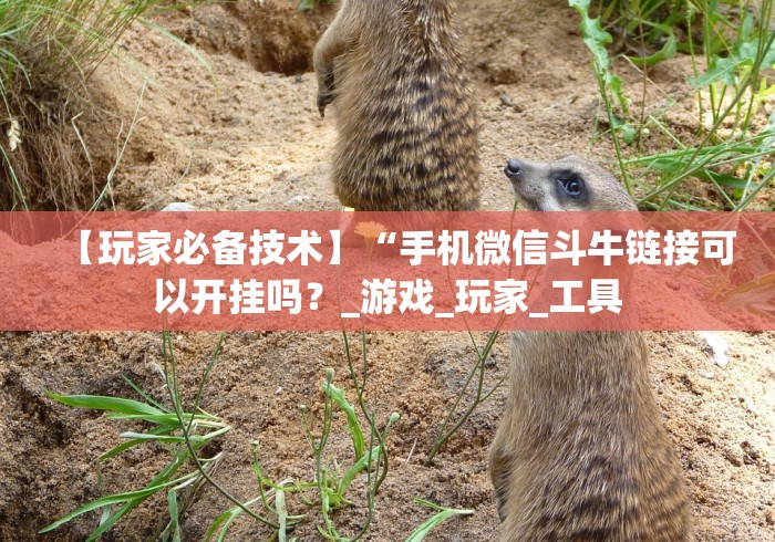 【玩家必备技术】“手机微信斗牛链接可以开挂吗？_游戏_玩家_工具