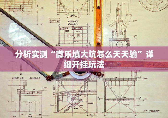 分析实测“微乐填大坑怎么天天输”详细开挂玩法