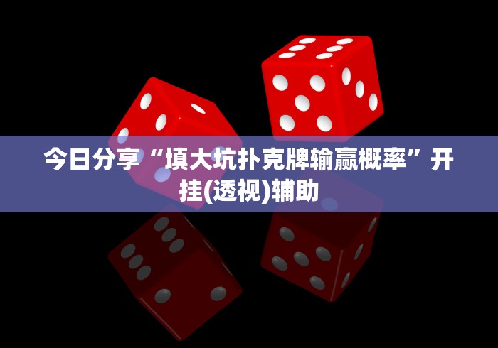 今日分享“填大坑扑克牌输赢概率”开挂(透视)辅助