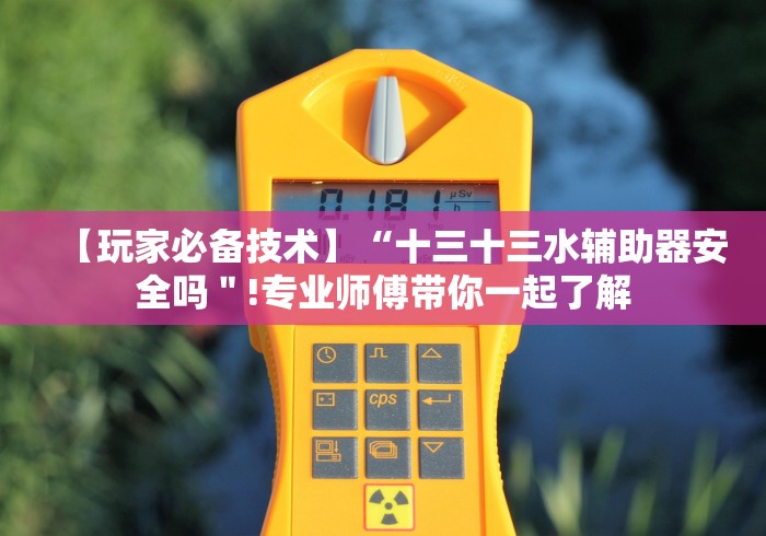 【玩家必备技术】“十三十三水辅助器安全吗＂!专业师傅带你一起了解