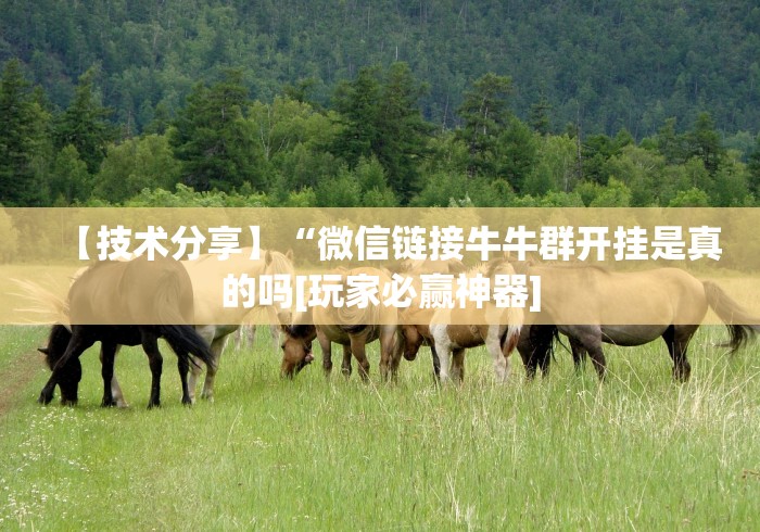 使用分享“微信链接三公有人开挂吗(详细真的有挂)-知乎