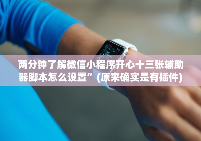 两分钟了解微信小程序开心十三张辅助器脚本怎么设置”(原来确实是有插件)