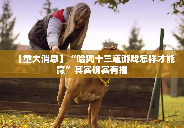 【重大消息】“哈狗十三道游戏怎样才能赢”其实确实有挂