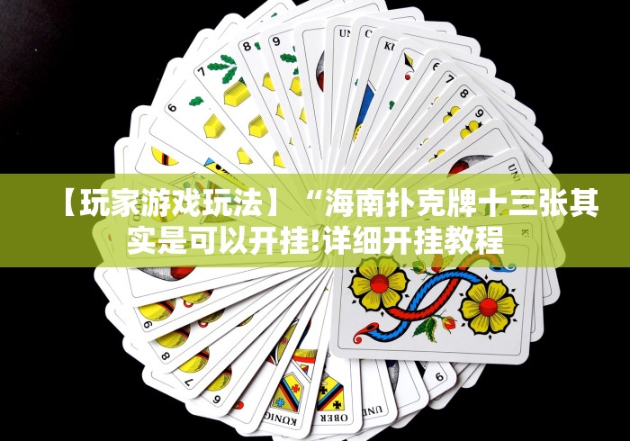 【玩家游戏玩法】“海南扑克牌十三张其实是可以开挂!详细开挂教程