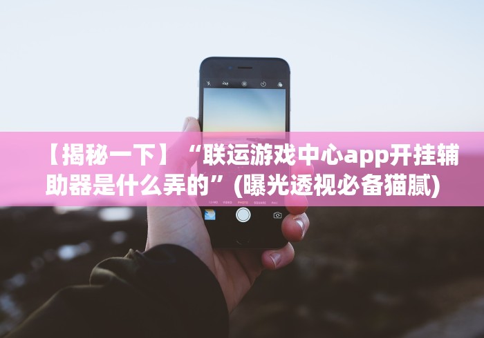 【玩家新攻略】“微乐填大坑app的确可以开挂”(原来确实是有插件)