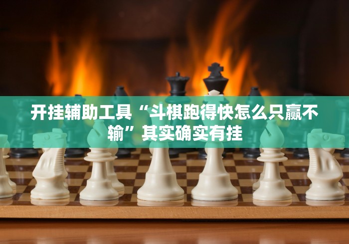 开挂辅助工具“斗棋跑得快怎么只赢不输”其实确实有挂