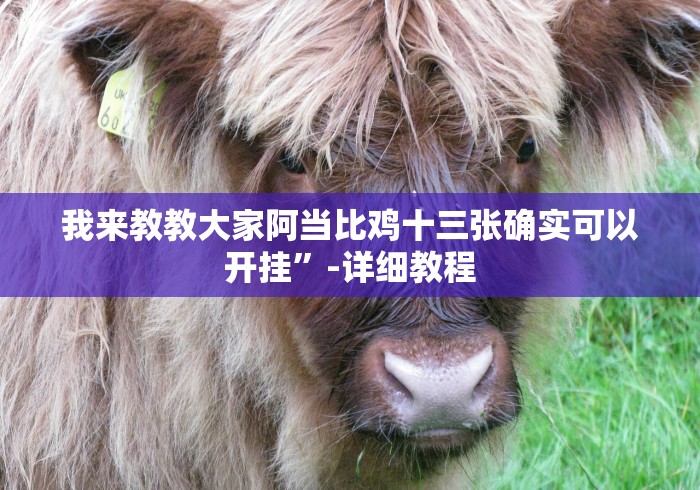 我来教教大家阿当比鸡十三张确实可以开挂”-详细教程 我来教教大家阿当比鸡十三张确实可以开挂”-详细教程