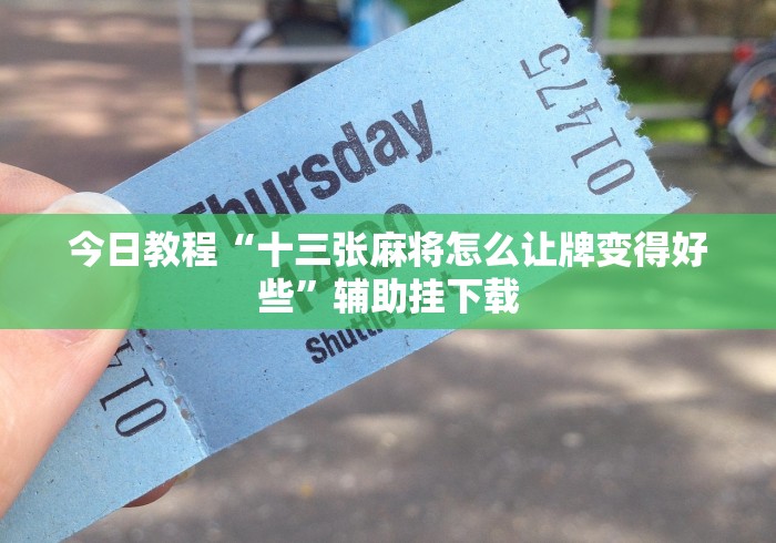 开挂辅助工具“微乐家乡游戏填大坑怎么开挂”2025开挂教程步骤