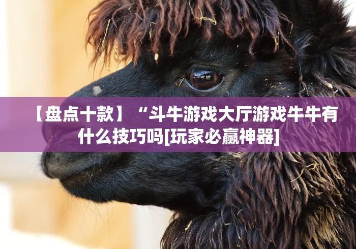 【第一财经】“牵手跑得快挂先试用后付款”-必赢神器安装