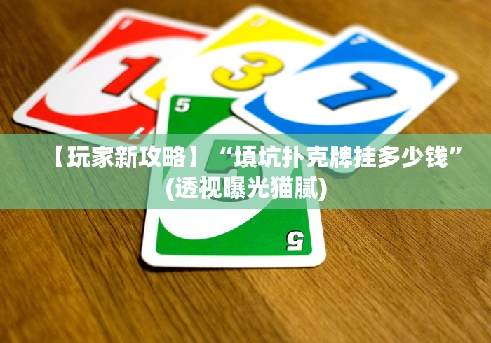 【玩家新攻略】“填坑扑克牌挂多少钱”(透视曝光猫腻)