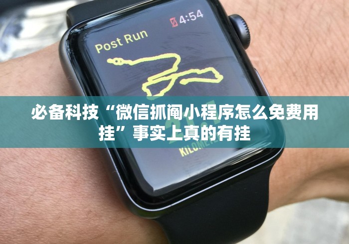 必备科技“微信抓阄小程序怎么免费用挂”事实上真的有挂