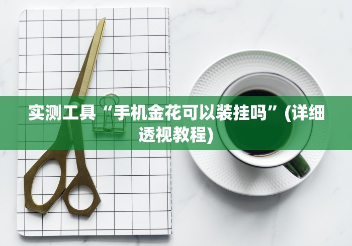 实测工具“手机金花可以装挂吗”(详细透视教程)