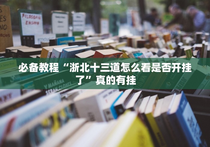 必备教程“浙北十三道怎么看是否开挂了”真的有挂