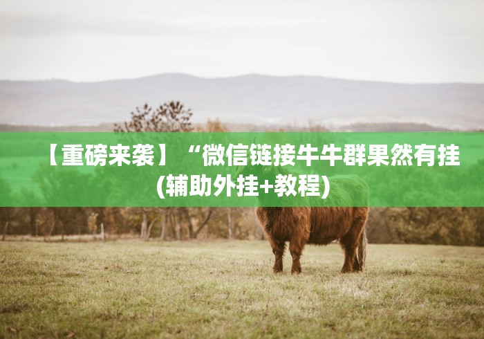 【重磅来袭】“微信链接牛牛群果然有挂(辅助外挂+教程)