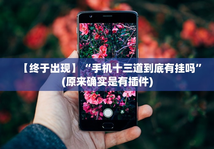 【知识科普】“十三水平台有什么绝招吗”详细开挂玩法