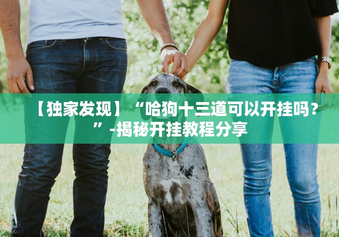 【独家发现】“哈狗十三道可以开挂吗？”-揭秘开挂教程分享