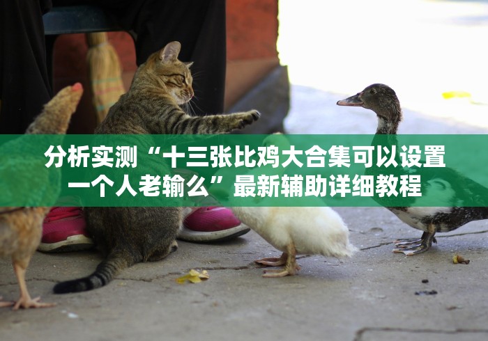 分析实测“十三张比鸡大合集可以设置一个人老输么”最新辅助详细教程