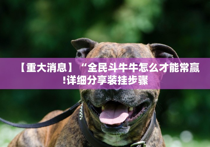 五分钟了解宁海十三张有没有猫腻”附开挂脚本