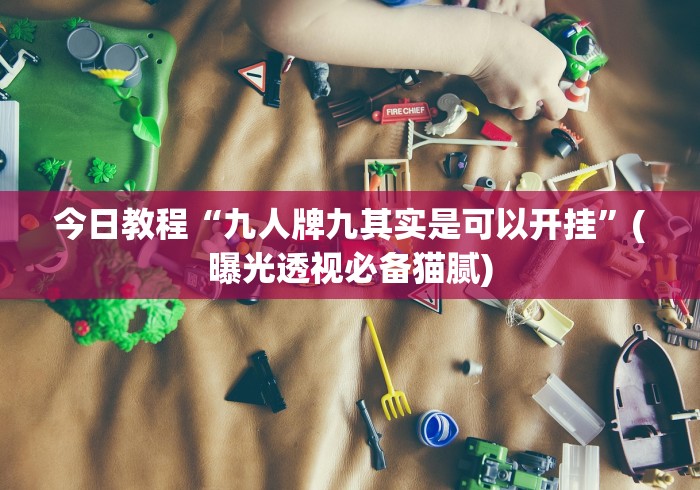 今日教程“九人牌九其实是可以开挂”(曝光透视必备猫腻)