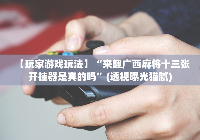 【玩家游戏玩法】“来趣广西麻将十三张开挂器是真的吗”(透视曝光猫腻)