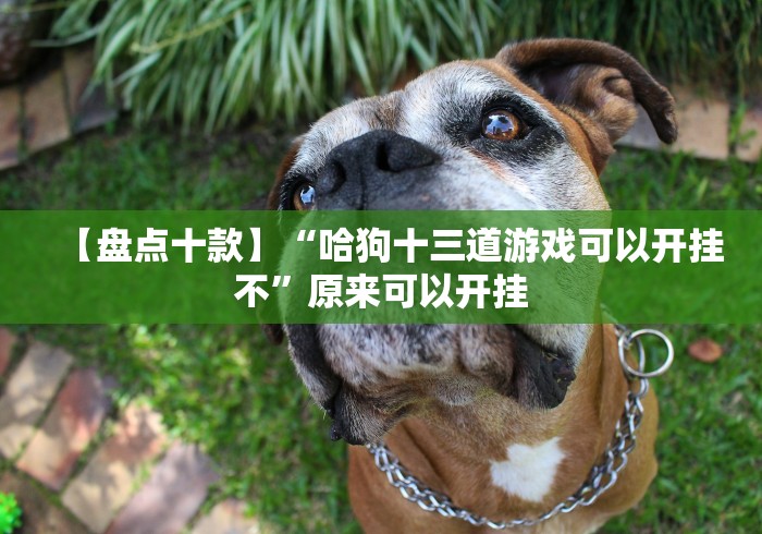 【第一发现】“自逍遥跑胡子怎么提高好牌几率”-揭秘开挂教程分享