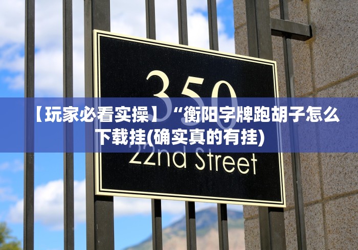 【玩家必看实操】“衡阳字牌跑胡子怎么下载挂(确实真的有挂)