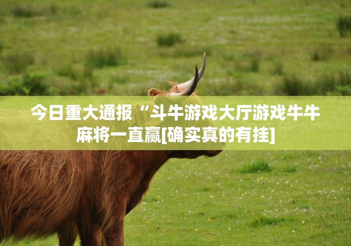 今日重大通报“斗牛游戏大厅游戏牛牛麻将一直赢[确实真的有挂]