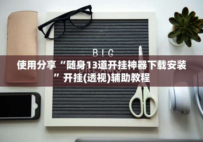使用分享“随身13道开挂神器下载安装”开挂(透视)辅助教程