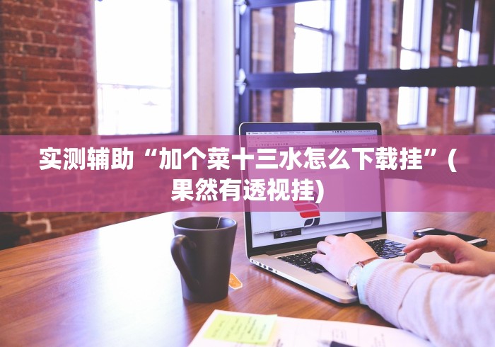 实测辅助“加个菜十三水怎么下载挂”(果然有透视挂)