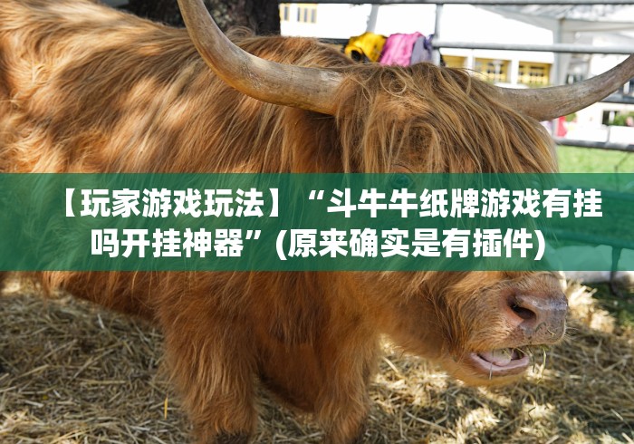 【玩家游戏玩法】“斗牛牛纸牌游戏有挂吗开挂神器”(原来确实是有插件)