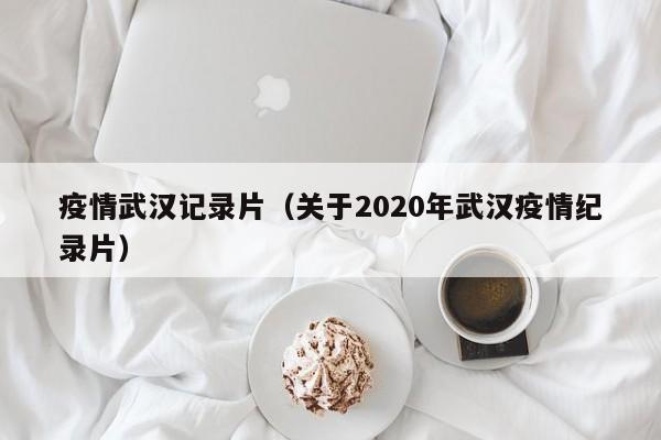 疫情武汉记录片(关于2020年武汉疫情纪录片)