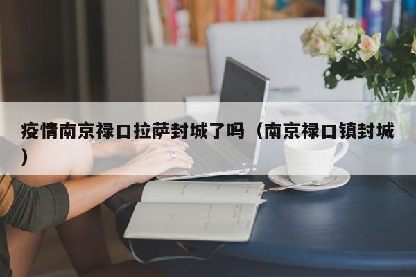 疫情南京禄口拉萨封城了吗(南京禄口镇封城)