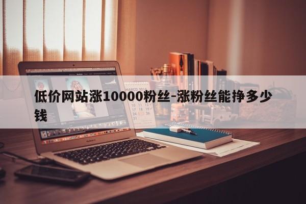 低价网站涨10000粉丝-涨粉丝能挣多少钱