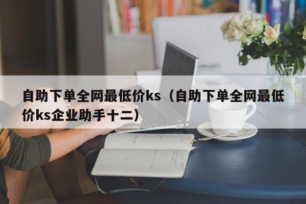 自助下单全网最低价ks(自助下单全网最低价ks企业助手十二)