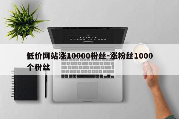 低价网站涨10000粉丝-涨粉丝1000个粉丝