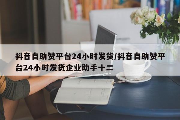 抖音自助赞平台24小时发货/抖音自助赞平台24小时发货企业助手十二
