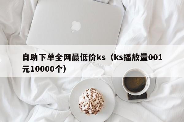 自助下单全网最低价ks(ks播放量001元10000个)